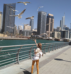 Чайки у Дубай-Марина